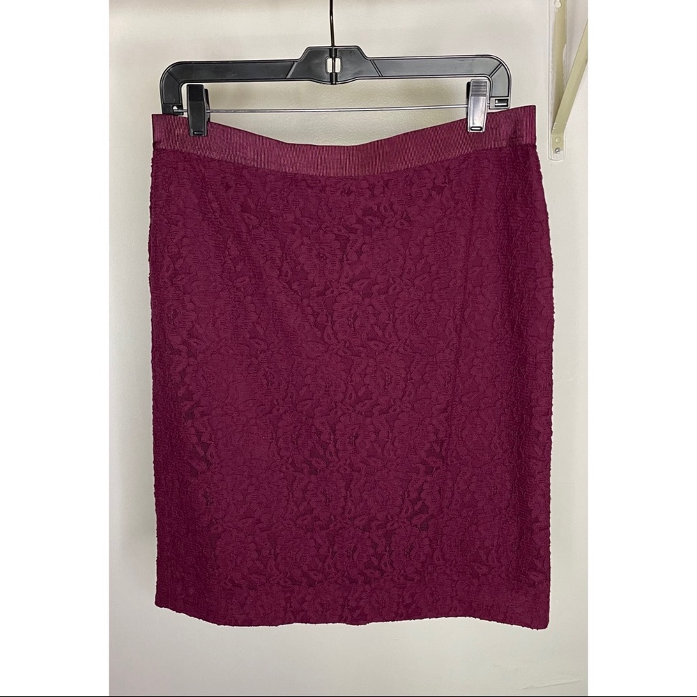 Ann Taylor A-Line Soft Lace Skirt